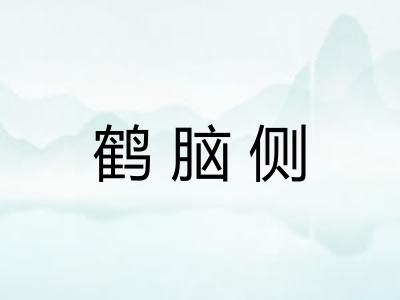 鹤脑侧