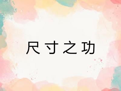 尺寸之功