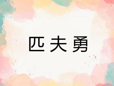 匹夫勇