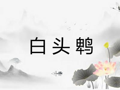 白头鹎