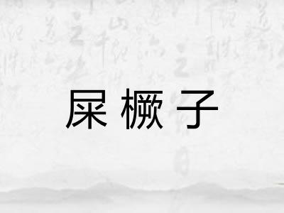 屎橛子