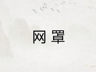 网罩