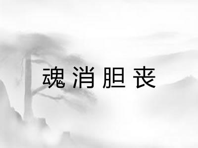 魂消胆丧