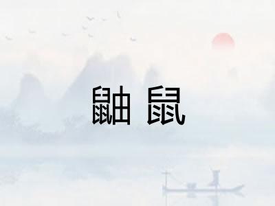 鼬鼠