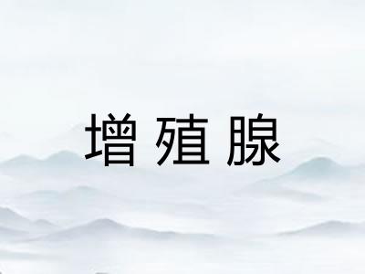 增殖腺