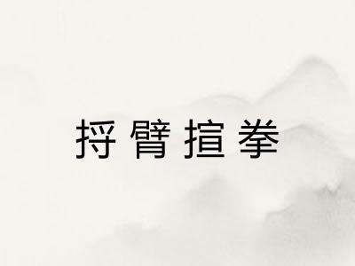 捋臂揎拳
