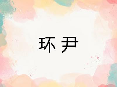 环尹