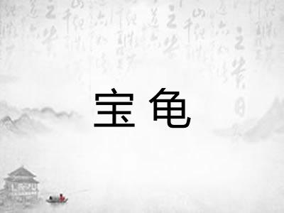 宝龟