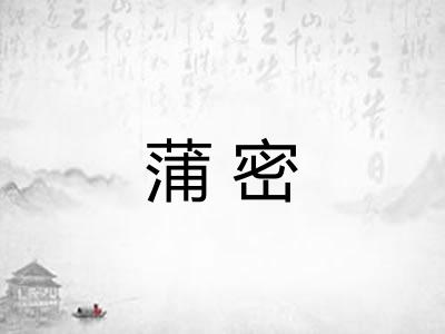 蒲密