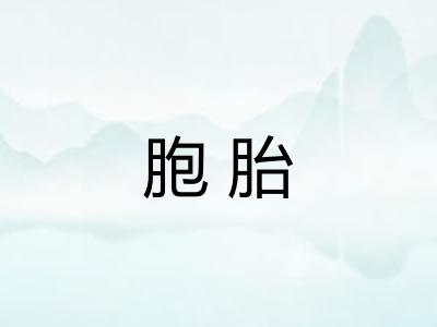 胞胎
