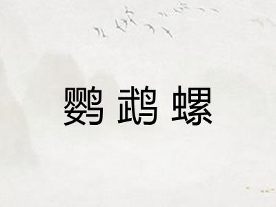 鹦鹉螺