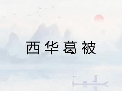 西华葛被