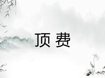 顶费