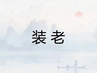 装老