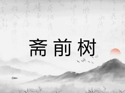 斋前树