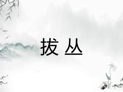 拔丛