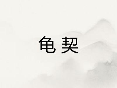 龟契