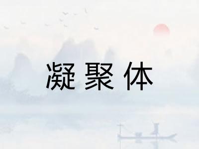 凝聚体