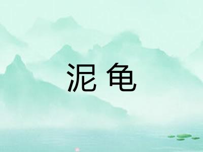 泥龟