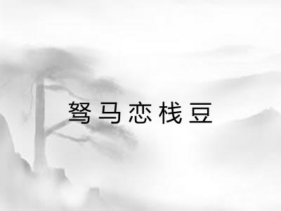 驽马恋栈豆
