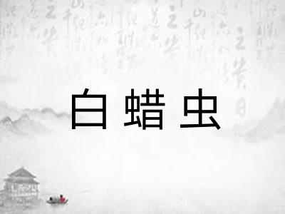 白蜡虫