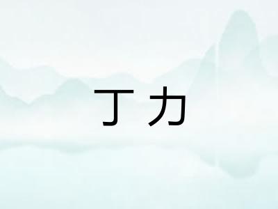 丁力