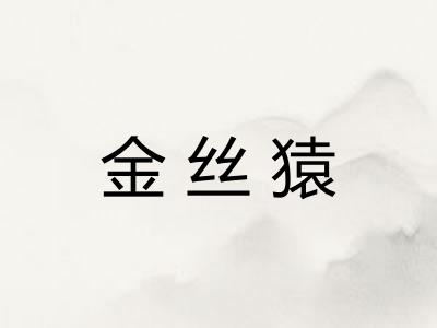 金丝猿