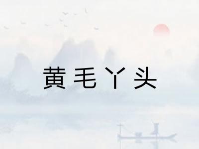 黄毛丫头