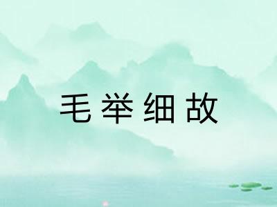 毛举细故