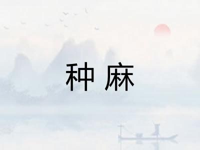 种麻
