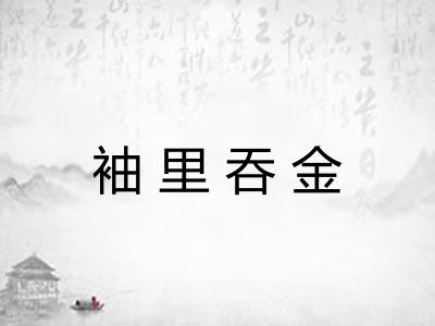袖里吞金