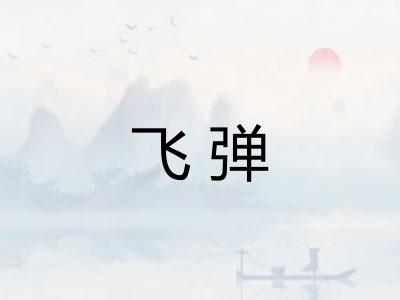 飞弹