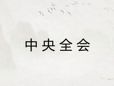 中央全会