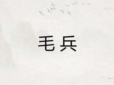 毛兵