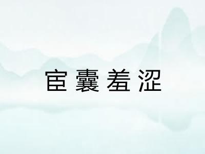 宦囊羞涩