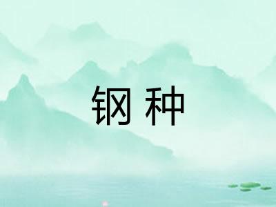 钢种