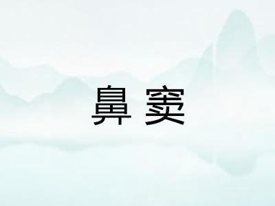鼻窦