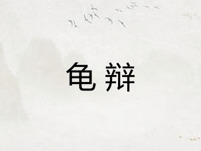 龟辩