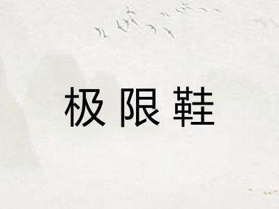 极限鞋