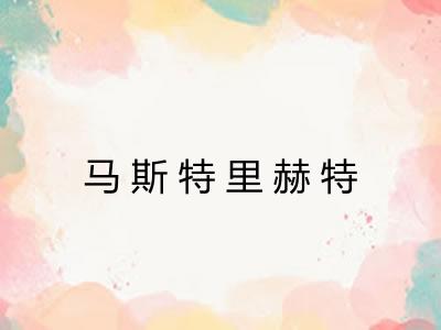 马斯特里赫特
