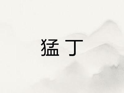 猛丁