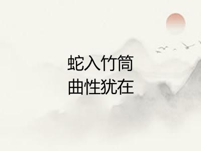 蛇入竹筒曲性犹在