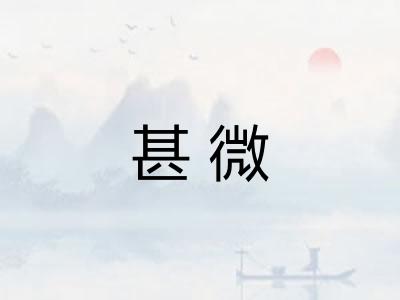 甚微