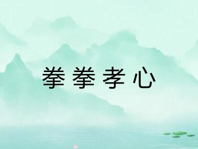 拳拳孝心
