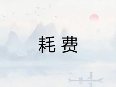 耗费