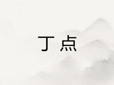 丁点