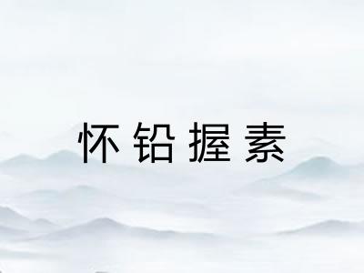 怀铅握素