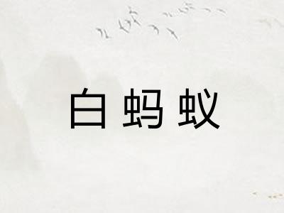 白蚂蚁