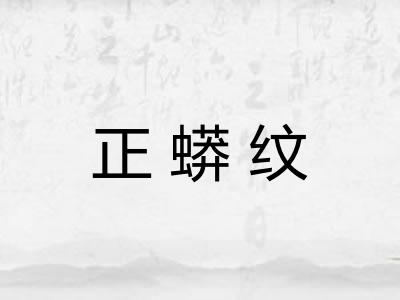 正蟒纹