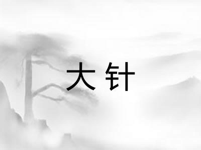 大针